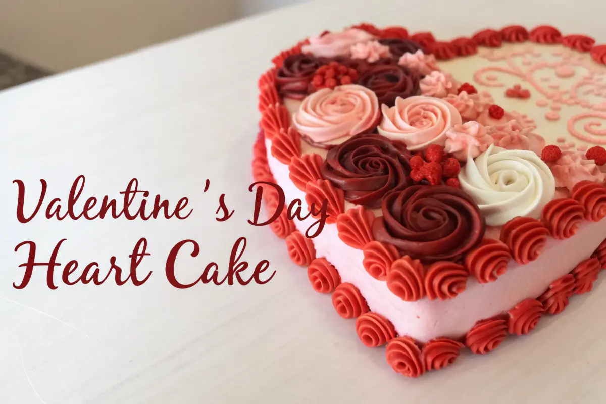 Heart Valentine’s Day Cake