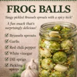 Vintage farmhouse recipe card for Frog Balls, a jar of pickled Brussels sprouts with garlic and chili peppers on a rustic table.